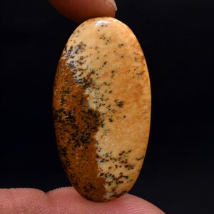 May include: A smooth, oval-shaped cabochon gemstone with a brown and beige color pattern. The stone has a mottled appearance with dark brown and light beige areas.