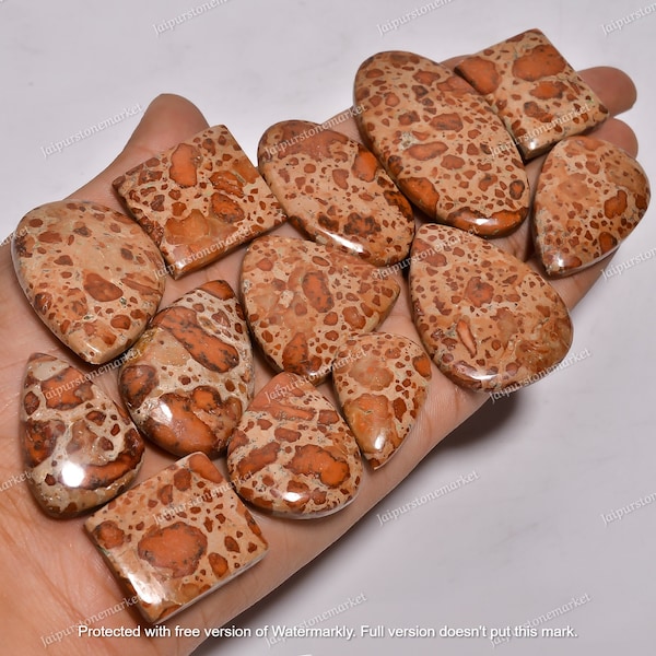 Jasper Crystal Bulk Lot | Hand Polished Wholesale Asteroid Loose Gemstone For Making Handmade Jewellery, Size 20-40MM