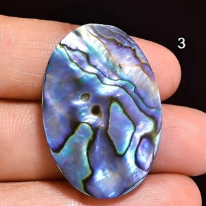 Peut inclure: Coquillage d'ormeau ovale aux reflets irisés bleus, verts et violets. La surface polie présente des motifs naturels et une tache sombre. Le chiffre "3" est visible dans le coin supérieur droit.
