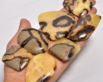 Natural Dragon Septarian - Dragon Stone - Septarian Cabochon - Septarian Palm Stone - Wholesale Septarian, Sizes 20MM To 40MM