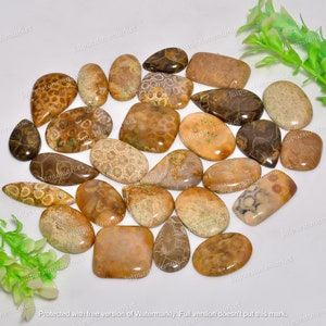 Fossilized Coral Cabochon Lot, AAA+ Top Quality Jewelry Making Stone, Polished Mix Shape Agatized Fossil Coral Gemstone, Sizes: 20MM To 40MM