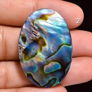 Beautiful 100% Natural Green Abalone Shell Oval Cabochon Loose Gemstone For Making Jewelry
