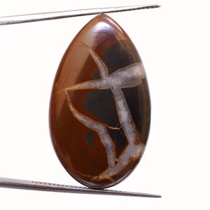 May include: A teardrop-shaped brown, black, and white agate gemstone with a polished finish.