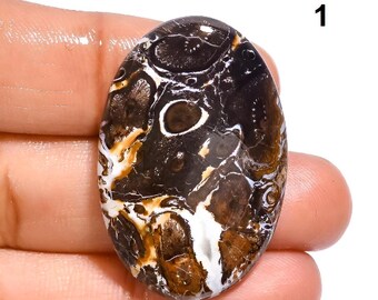 Palm Root Agate cabochon Healing Crystal, Palm Stone, Smooth Cabochon, loose gemstone, Hand Polish, Rare Agate stone,Agate Jewelry