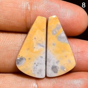 May include: A pair of yellow and white agate cabochons with a mottled pattern. The cabochons are shaped like triangles with rounded edges.