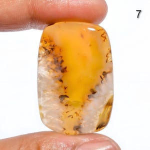 Montana Achat Cabochon