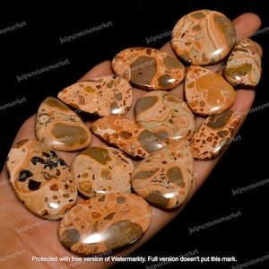 Top Quality Leopardite Jasper, Jasper Crystals, Jasper Stone Polished, Jasper Cabochon, bulk Gemstones, Jewelry Making, Size 20MM To 40MM