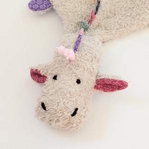 pacifier dragon colorful