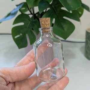 Bulk 50ml Empty Glass Bottles For Wedding Guests Shot Bottles For Birthday Party Bulk Cork Bottles