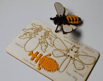 Slot Together Bee Kit: Wooden Craft Gift for Kids & Adults