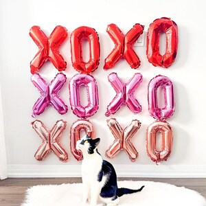 XOXO Balloon Banner: Galentine’s Day Party Decor Valentine’s Day Backdrop Balloons