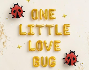 One Little Love Bug Balloon Kit: Ladybug First Birthday Party Decorations Girls Lovebug Decor