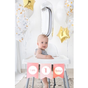 Banner de primer cumpleaños con trona / Sesión de fotos de aplastamiento de pastel de niña de primer cumpleaños / Decoración de fiesta de cumpleaños de 1 año / Fiesta de primer cumpleaños