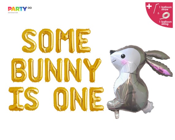 Some Bunny Is One Balloon Banner | Easter First 1st Birthday Party Decor | Some Bunny Theme Easter Birthday Bunny Smash Cake Decorations Il_570xn