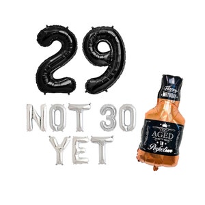 29 Not 30 Yet Banner | 29th Birthday Decorations Balloon Banner | 29th Birthday Party Decoration | Whiskey Balloon