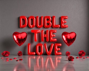 Double The Love Balloon Banner: Oh Babies Valentine's Day Twin Baby Shower Decor