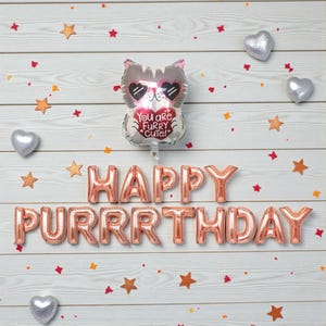 Puede incluir: Un arreglo festivo de cumplea&ntilde;os con un globo con forma de gato con gafas de sol en forma de coraz&oacute;n, el texto "You are Furry Cute!" y globos de letras de papel de aluminio en oro rosa que deletrean "HAPPY PURRRTHDAY". Decorado con estrellas y corazones.