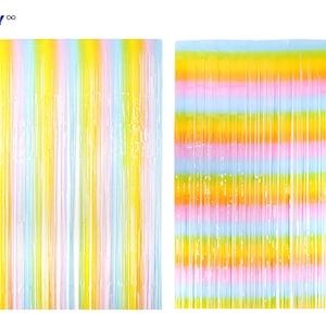 Rainbow Backdrop Fringe Decorations | Rainbow | 2023 Gay Parade Pride Decorations Photo booth Backdrop