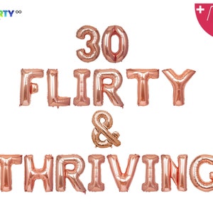 30 Flirty and Thriving Banner | 30th Birthday Banner Decorations | Thirty Flirty Thriving | Dirty Thirty Decorations Banner | Dirty 30 |