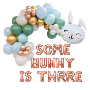 Some Bunny Is Three Balloon Banner | Easter Bunny 3rd Third Birthday Party Decorations Some Bunny Theme | 3rd Easter Birthday