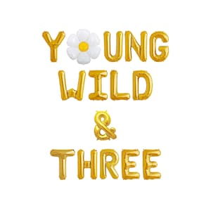 Young Wild&Three 3rd Birthday Decoration Balloon Banner | Groovy Daisy 3rd Birthday young wild and three party decorations