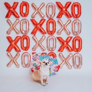 XOXO Galentines Day Party Balloons, Valentines Day Party Decorations, Rose Gold Red XOXO Galentines Party Valentines XOXO Decor Banner