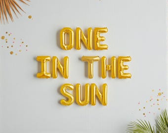 One In The Sun Balloon Banner: First Trip Around The Sun Birthday Party Decorations