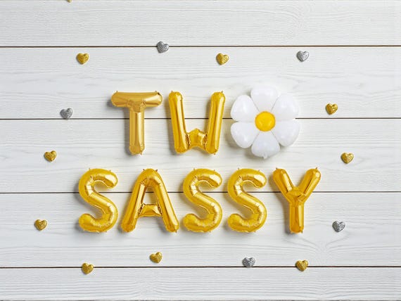 Two Sassy Balloon Banner: 2nd Birthday Party Decor