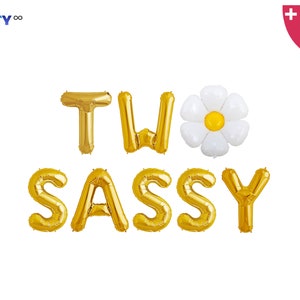 Two Sassy Banner  | Cute 2nd Birthday Two sassy Sweet 2 birthday Kids Birthday Party Daisy 1st 2nd Birthday Party