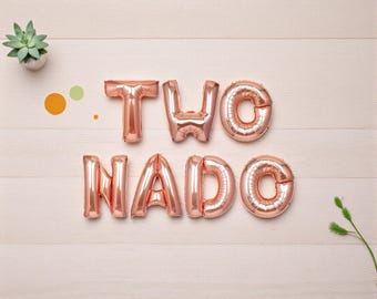 May include: Rose gold foil balloons spelling out the word TWONADO arranged in two rows. A small green succulent in a white pot is positioned in the top left corner, and a thin green plant stem is visible in the bottom right corner.