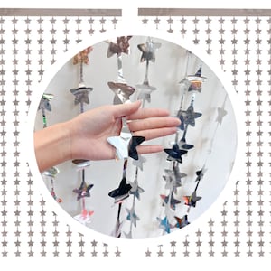 Silver Star Party Decorations Fringe Curtain Backdrop |  Last Disco Bachelorette Decorations | Nash Bash Bachelorette Photo Booth Backdrop