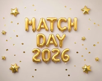 Match Day 2026 Balloon Banner: Medical School Residency Party Decorations Doctor Congrats Sign