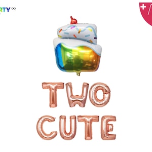 Two Cute Balloon Banner | 2nd Birthday Party Decorations  |  2nd Baby Birthday Party | Two Sweet 2nd Birthday Cake Balloon Decorations