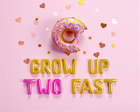 Grow Up Two Fast Donut Balloon Banner: 2nd Birthday Party Decoration