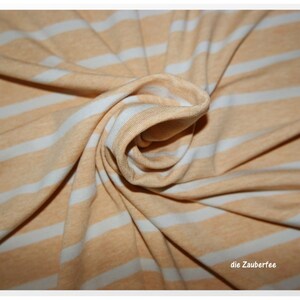 15.80 EUR/meter Benja, apricot/melange, viscose strips Hilco, C3176/6