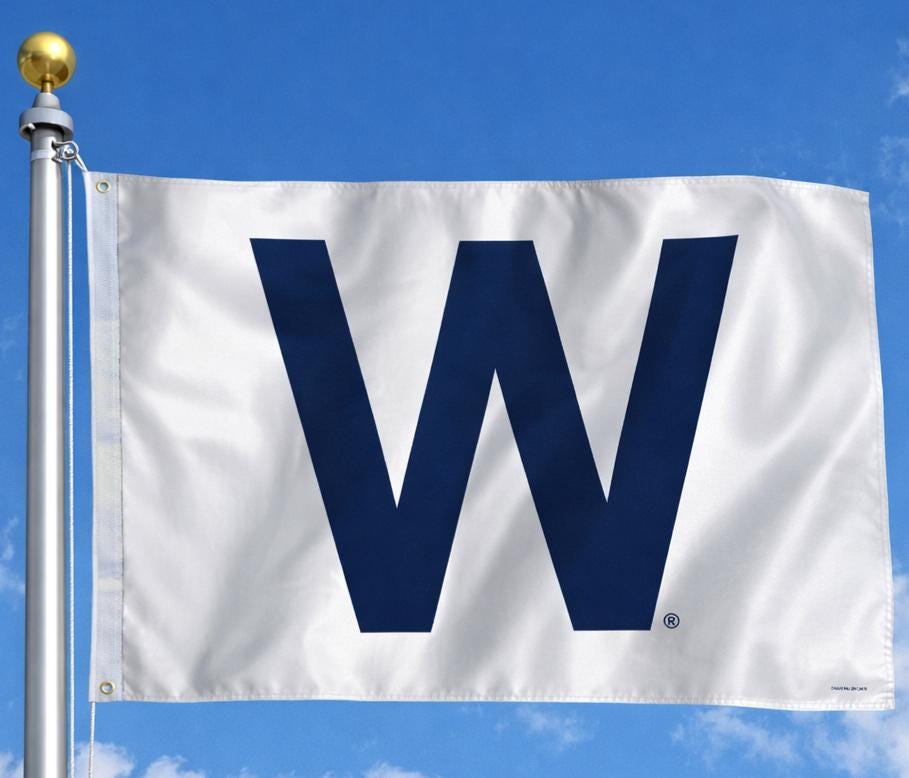 Chicago Cubs W 2 X 3 Premium Flag - Etsy UK