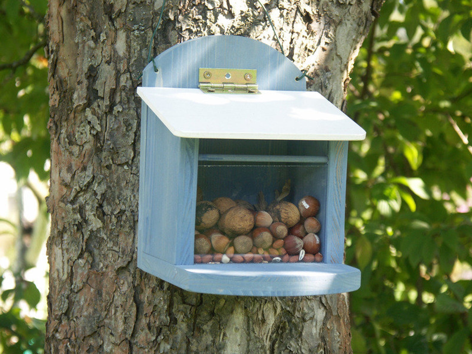 Squirrel Food Box House Frieze Blue | Etsy