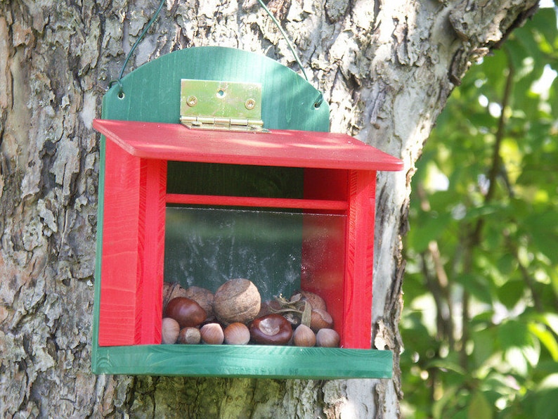 Eichhörnchen Futterkasten Futterhaus rot/grün Bild 1