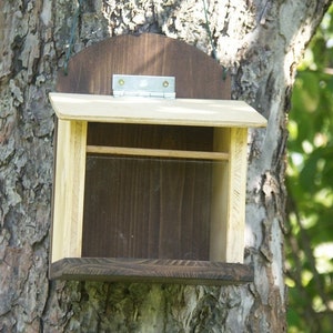 Squirrel feed box feeding house color natural image 1