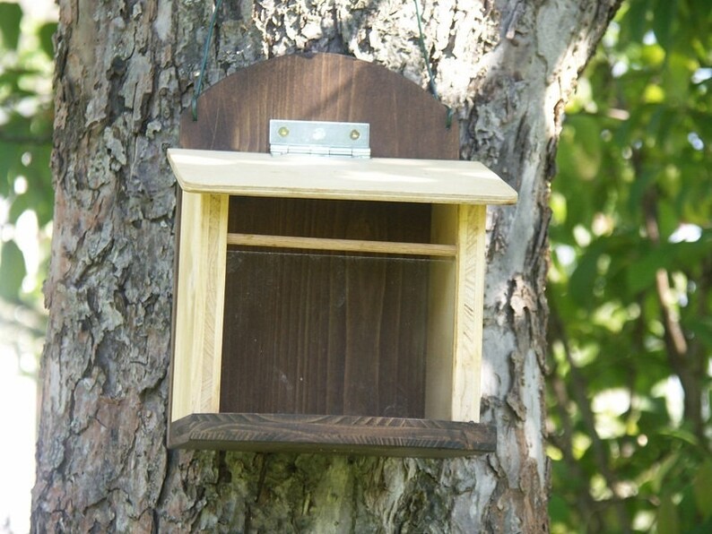 Squirrel feed box feeding house color natural image 1