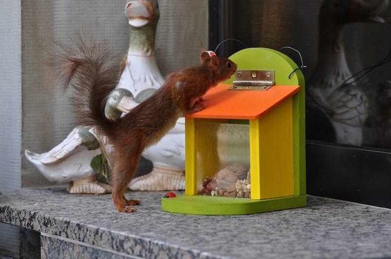 Eichhörnchen Futterkasten Futterhaus rot/grün Bild 4