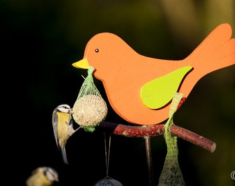 Pode incluir: Um comedouro de pássaros de madeira com um pássaro laranja brilhante e uma asa verde. Um pardal azul está empoleirado no comedouro, comendo de um saco de malha cheio de sementes para pássaros.