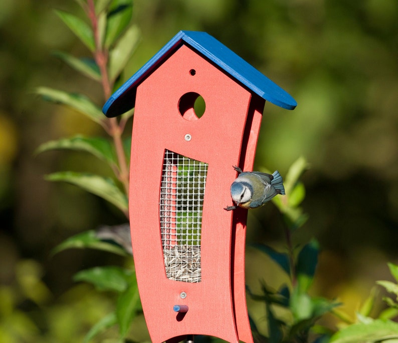 Puede incluir: Un comedero para p&aacute;jaros rojo y azul con un fondo de malla y un peque&ntilde;o p&aacute;jaro azul posado en el borde. El comedero est&aacute; hecho de madera y tiene un peque&ntilde;o agujero en la parte superior.
