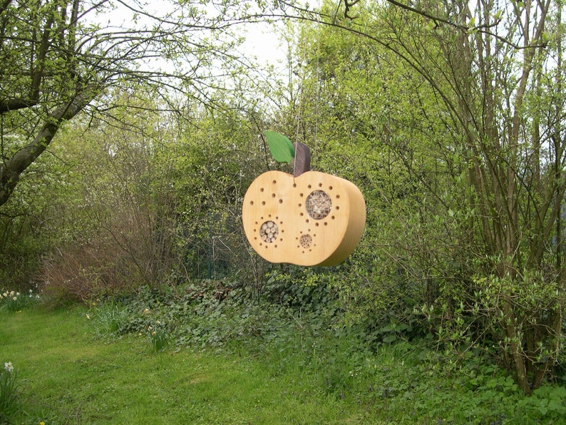 Natural apple insect hotel image 2