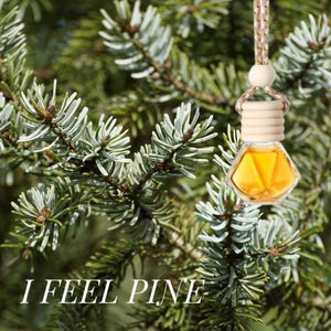 May include: A glass bottle filled with a golden liquid hangs from a string with a wooden bead and a wooden cap. The bottle is hanging from a pine tree branch. The text "I FEEL PINE" is printed below the bottle.