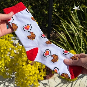 May include: White socks with red accents at the toe and cuff, featuring a repeating pattern of pixelated brown chickens with heart-shaped speech bubbles. The socks are held up against a background of green foliage and yellow flowers.