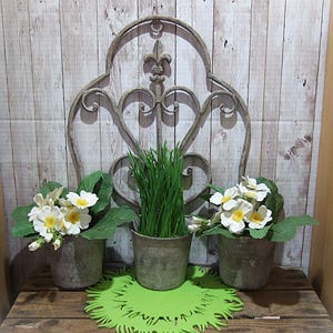 Könnte beinhalten: Dekorative Anordnung mit drei kleinen, verwitterten grauen Töpfen. Zwei Töpfe enthalten weiße und gelbe Blumen mit grünen Blättern, und der mittlere Topf enthält grünes Gras. Ein dekoratives Metallstück mit einer Fleur-de-Lis befindet sich hinter den Töpfen.