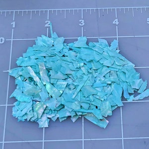 May include: A pile of iridescent turquoise blue and white shell flakes. The flakes are various sizes and shapes.
