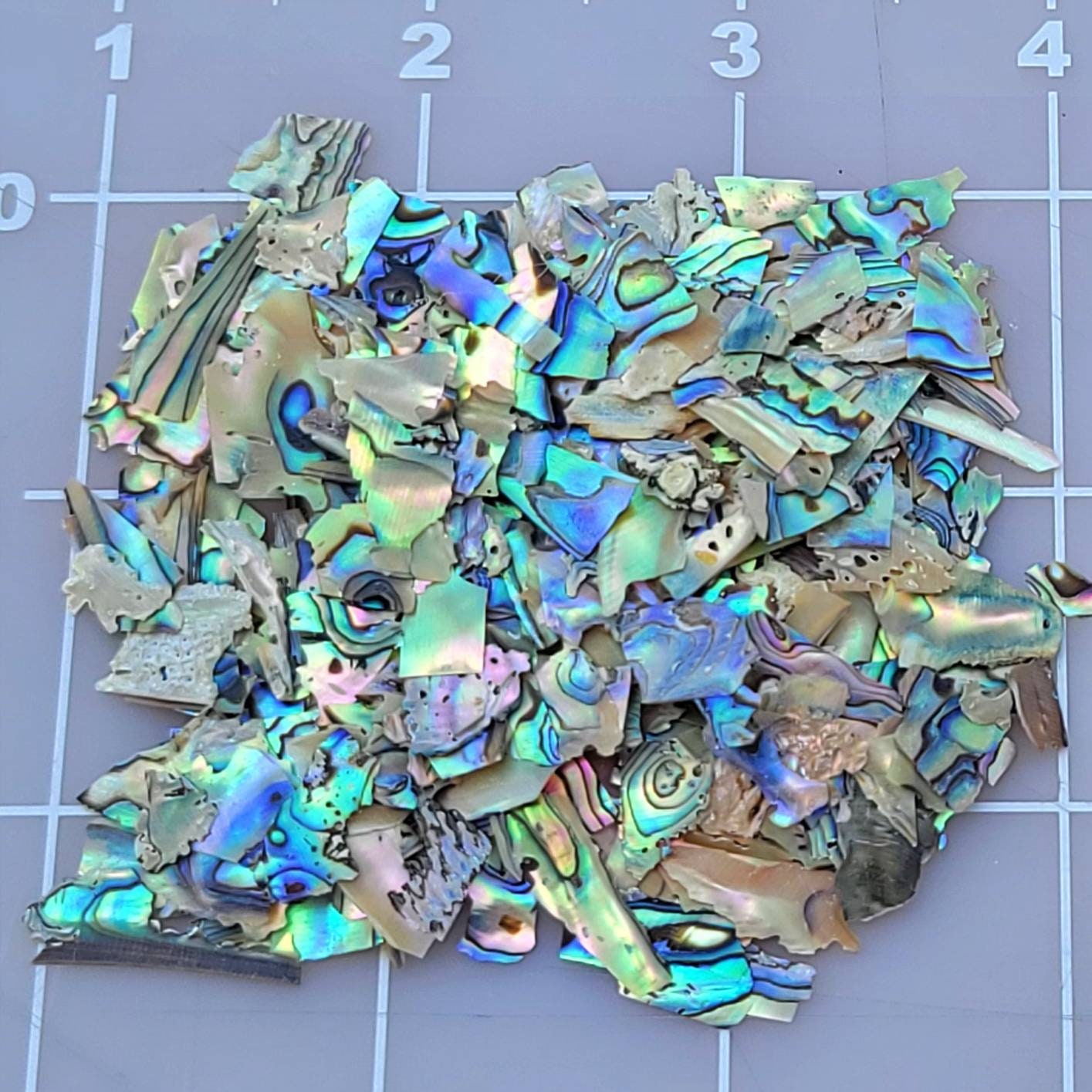 Natural Paua Abalone Shell Rhombus Loose Beads - Multi-Color For Jewelry Making (15+ Pcs)