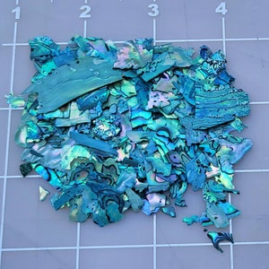 May include: A pile of iridescent blue and green abalone shell pieces. The shell pieces are various sizes and shapes.